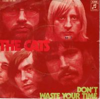 The Cats  --  Don`t waste your time  Single7